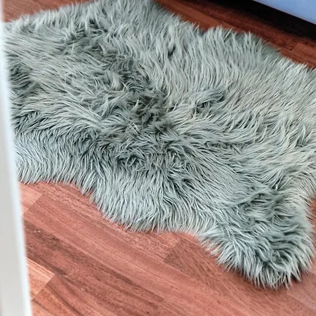 Calicantus Apollo * Côme