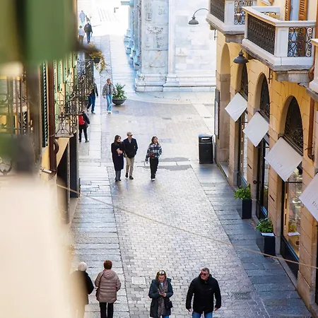 Calicantus Apollo Como