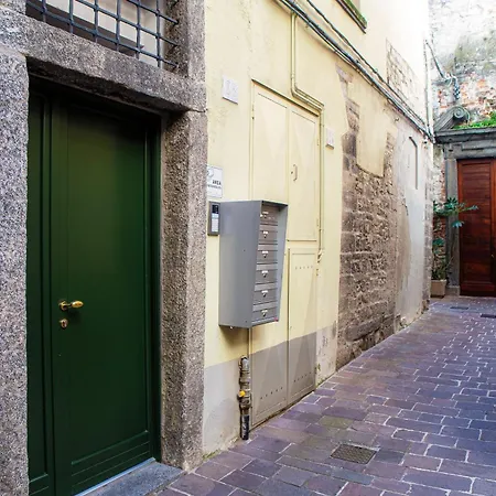 Calicantus Apollo Apartamento *