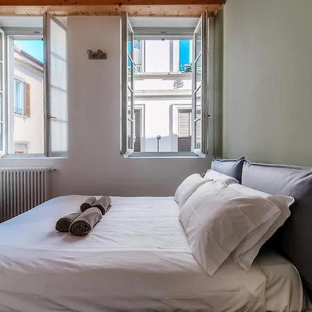 Calicantus Apollo Como